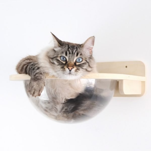 Cama de pared ORION formato cápsula transparente