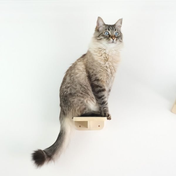 Alternative view of Estante/escalón AERO para montaje en la pared