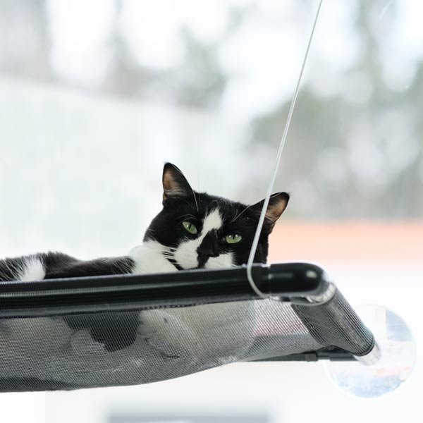 Alternative view of Cama de ventana NEJI para gatos